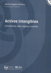 Activos intangibles vignette