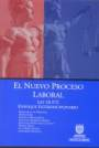 El nuevo proceso laboral vignette