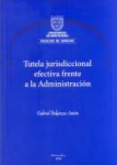 Tutela jurisdiccional efectiva frente a la administración vignette
