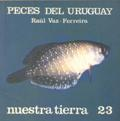 Peces del Uruguay vignette