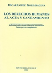 Los derechos humanos al agua y saneamiento vignette