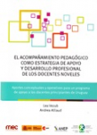 El acompañamiento pedagógico como estrategia de apoyo y desarrollo profesional de los docentes noveles vignette