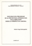 Exploración preliminar de la proyectada integración en el Mercosur desde la perspectiva laboral vignette