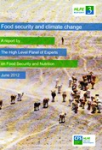 Food security and climate change vignette