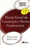 Teoria geral da constituição e direitos fundamentais vignette