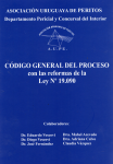 Código General del Proceso con las reformas de la Ley Nº 19.090 vignette