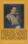 El derecho común y derecho propio en el nuevo mundo vignette