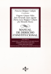 Manual de derecho constitucional. Derechos y libertades fundamentales. Deberes constitucionales y principios rectores. Instituciones y órganos constitucionales vignette