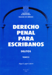 Derecho penal para escribanos. Delitos vignette