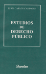 Estudios de derecho público vignette
