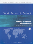 World economic outlook vignette