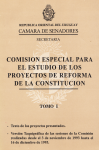 Comisión especial para el estudio de los proyectos de reforma de la constitución vignette