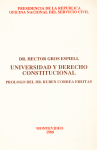 Universidad y derecho constitucional vignette