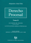 Los sujetos del proceso (conclusión). Las situaciones jurídicas procesales vignette