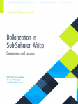 Dollarization in sub-Saharan Africa vignette