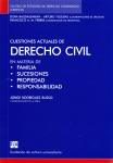 Cuestiones actuales de derecho civil en materia de familia, sucesiones, propiedad y responsabilidad vignette