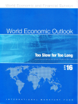 World economic outlook vignette