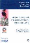 Audiovisual translation vignette