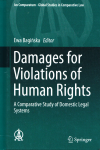 Damages for violations of human rights vignette