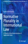 Normative plurality in international law vignette