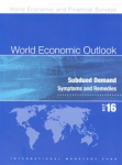 World economic outlook vignette