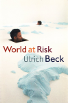 World at risk vignette