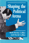 Shaping the political arena vignette