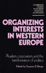 Organizing interests in Western Europe vignette