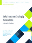 Make investment scaling-up work in Benin vignette