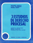 3 estudios de derecho procesal vignette
