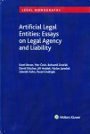 Artificial legal entities vignette