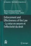 Enforcement and effectiveness of the law vignette