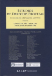 Constitución y proceso. Principios y garantías vignette