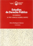 Estudios de derecho público. En homenaje al Prof. Horacio Cassinelli Muñoz vignette