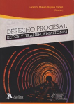 Derecho procesal vignette