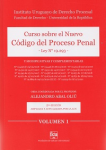 Curso sobre el nuevo código del proceso penal vignette