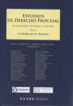 La prueba en el proceso vignette