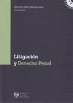 Litigación y derecho penal vignette