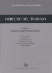 Derecho colectivo del trabajo vignette