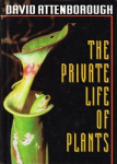 The private life of plants vignette