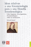 Ideas relativas a una fenomenología pura y una filosofía fenomenológica vignette