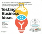 Testing business ideas vignette