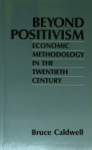 Beyond positivism vignette