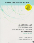 Classical and contemporary sociological theory vignette