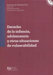 Derecho de la infancia, adolescencia y otras situaciones de vulnerabilidad vignette