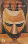 Derecho penal y derechos humanos vignette