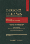 Derecho de daños vignette