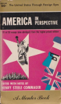 America in perspective vignette