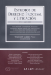 Estudios de derecho procesal y litigación vignette