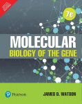 Molecular biology of the gene vignette